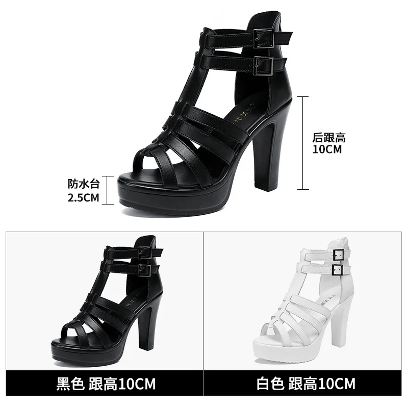 Gladiator Ladies Shoe for Wome - Summer Clothing Ladies recensie en prijs